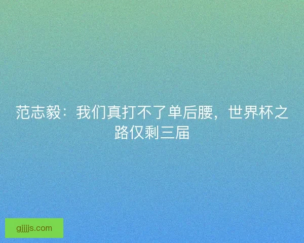 范志毅：我们真打不了单后腰，世界杯之路仅剩三届