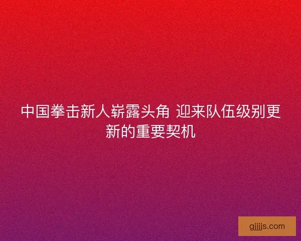 中国拳击新人崭露头角 迎来队伍级别更新的重要契机